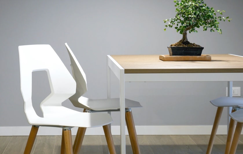 A decorative plant with small dark green petals, placed on a square table with a wooden top and four white legs, surrounded by four white chairs of unusual geometric shape with hollowed-out backs