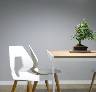 A decorative plant with small dark green petals, placed on a square table with a wooden top and four white legs, surrounded by four white chairs of unusual geometric shape with hollowed-out backs